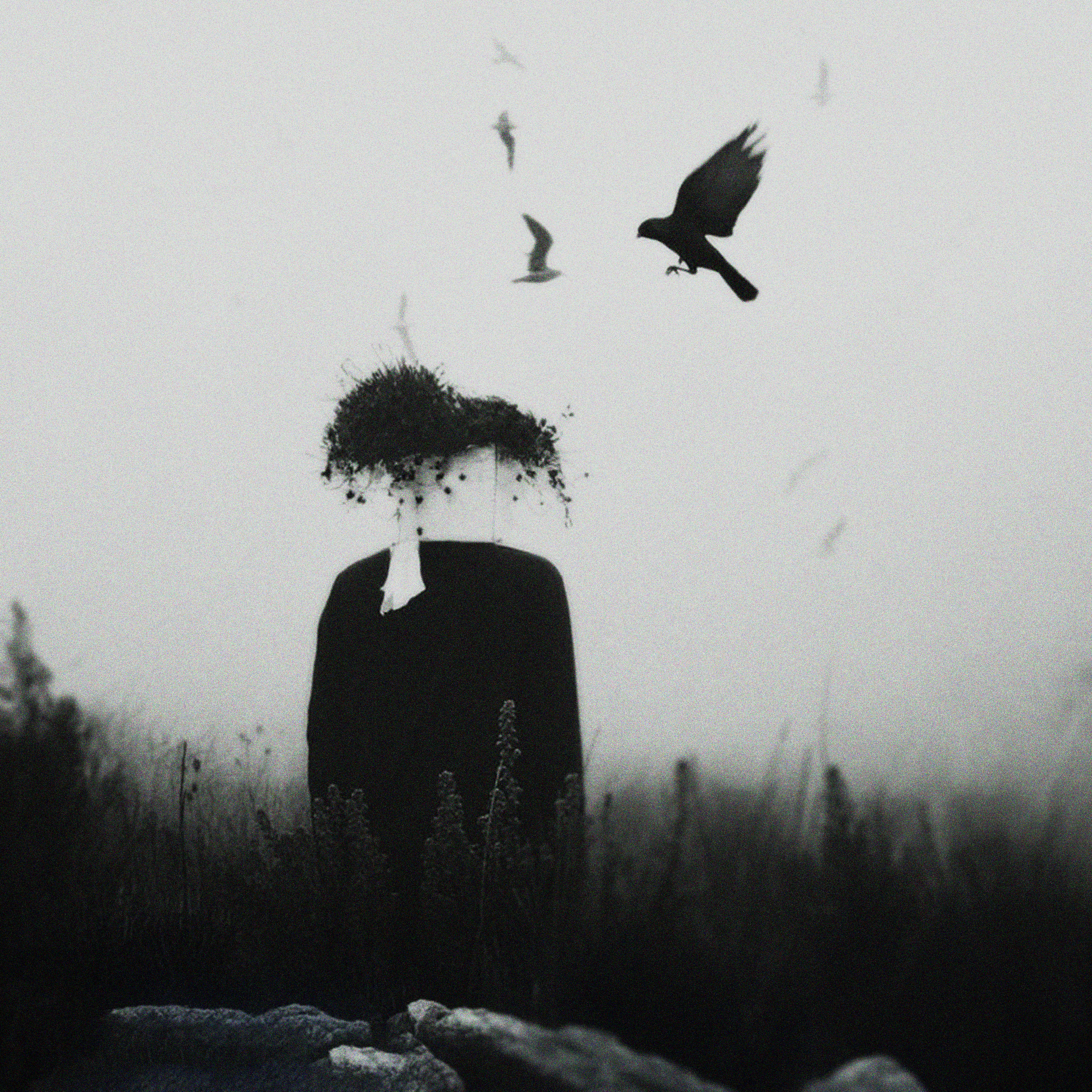 Collage Yasser Hori